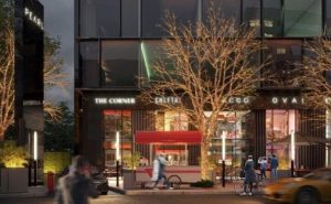 مول بريميم بيزنس القاهرة الجديدة Mall Premium Business New Cairo
