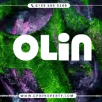 مول اولين التجمع الخامس Olin Mall New Cairo أسعار 2025