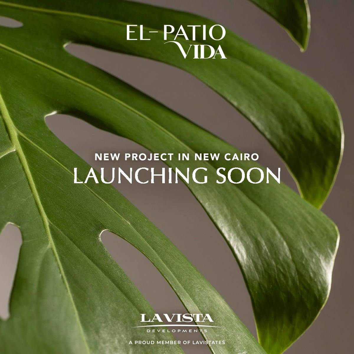 كمبوند الباتيو فيدا التجمع السادس | El Patio Vida New Cairo تقسيط على 10 سنوات