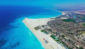 South Med