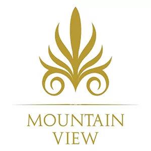 Mountain View Developments